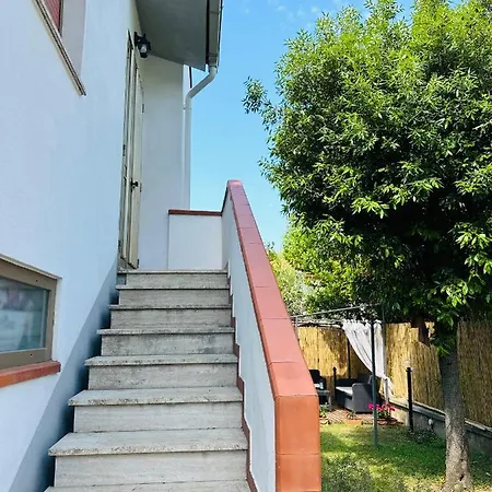 Jo's House