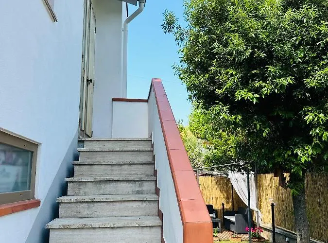 Jo's House